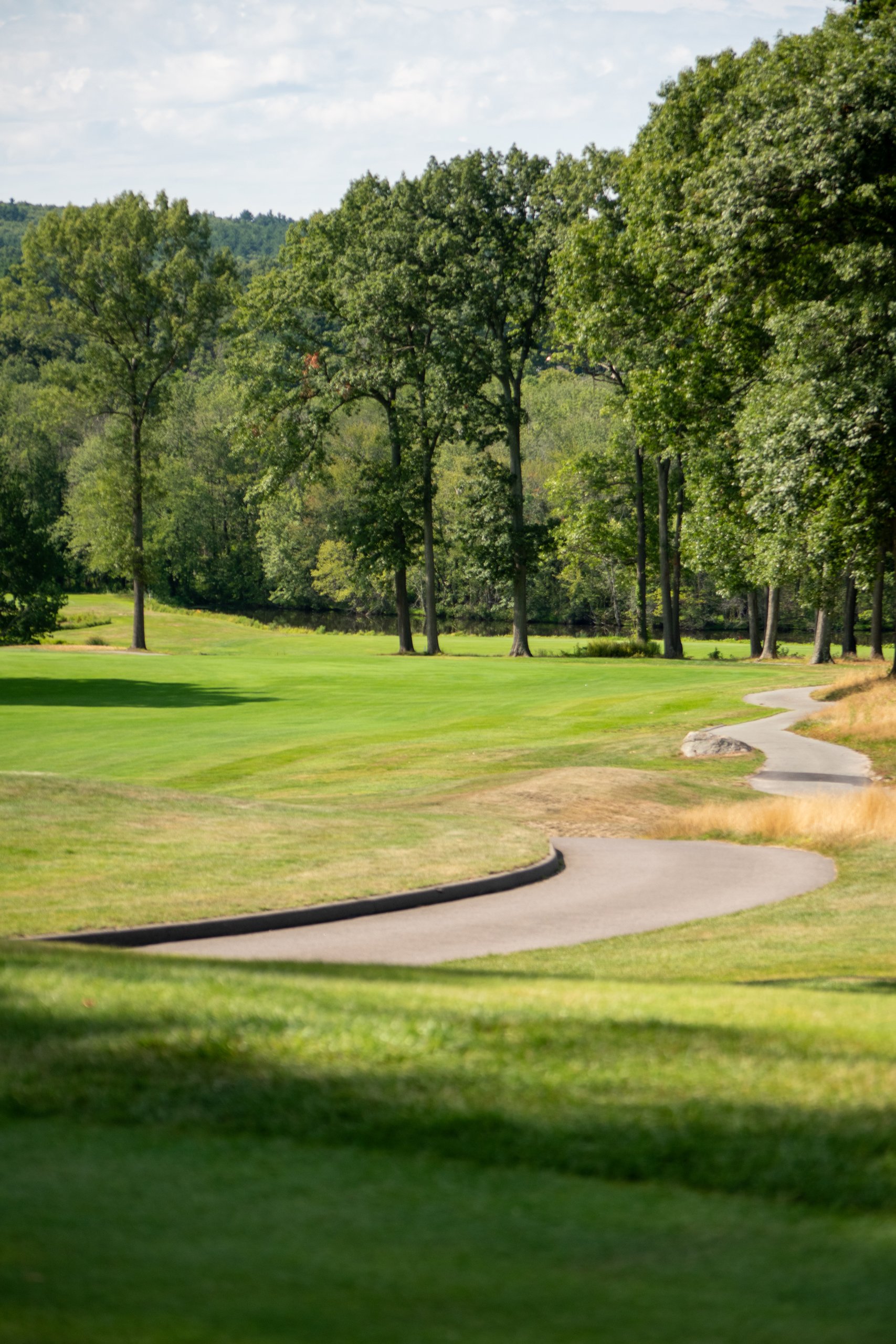 Scenic view of the course with a curving cart path winding between the fairway and tall trees beside a pond.