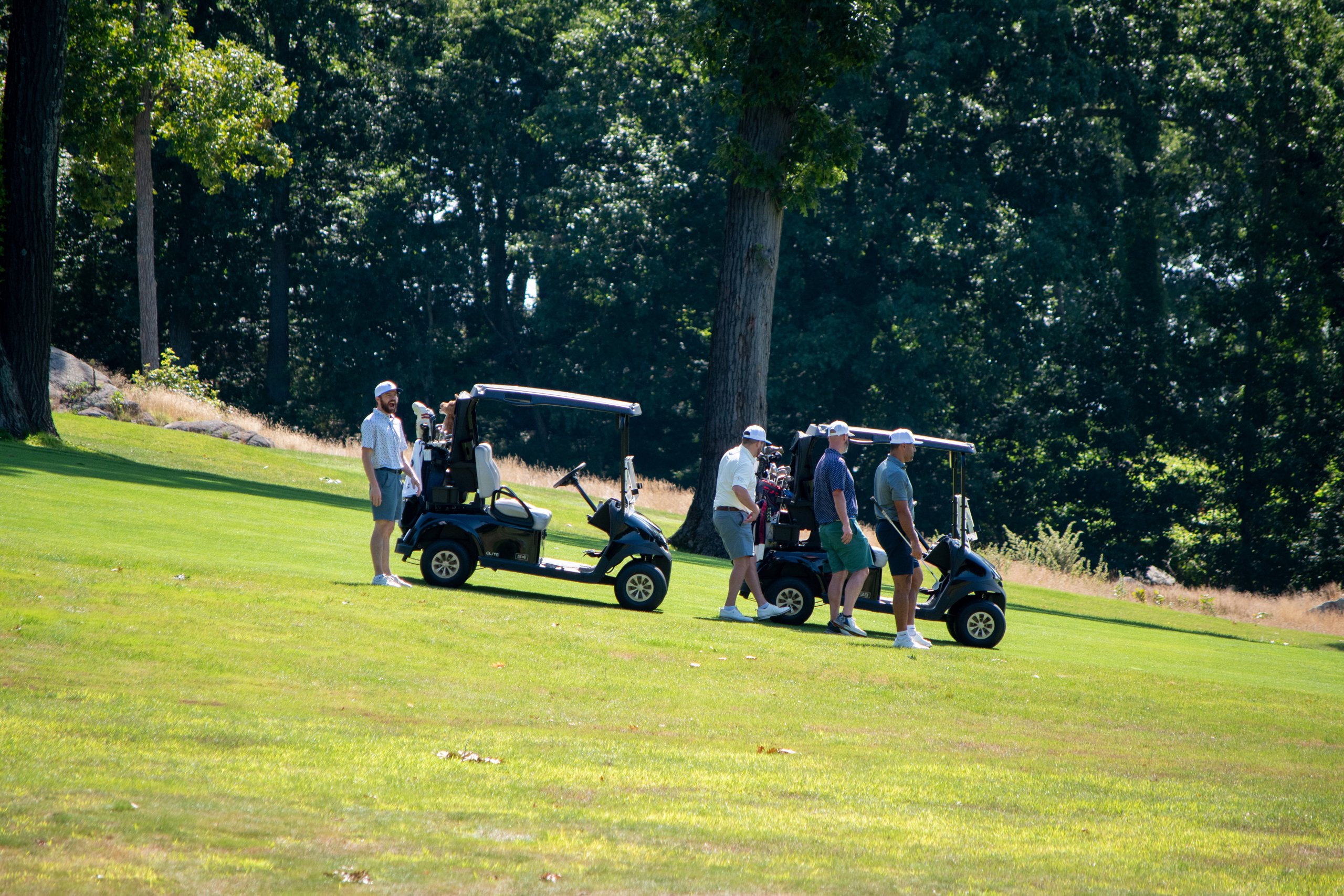Group of golfers gathered around two carts on a fairway rise, tall trees behind.