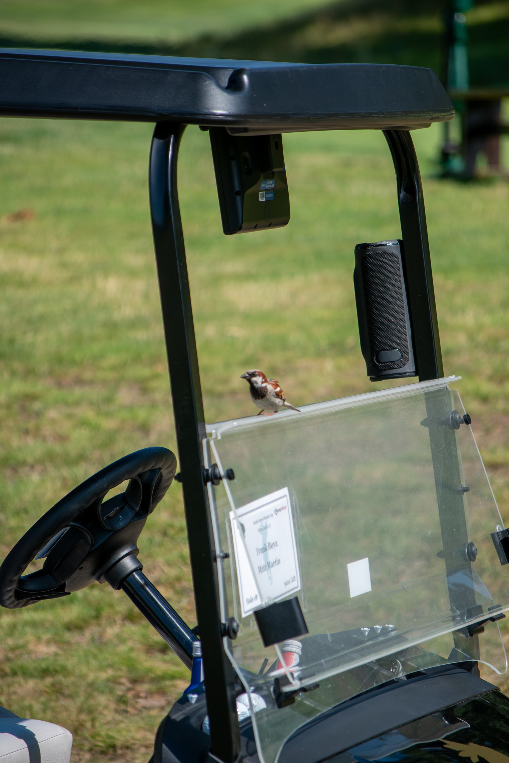 A house sparrow perched on a golf cart windshield beside the cart's Frank Bova and Matt Martin Hole 18 name card.