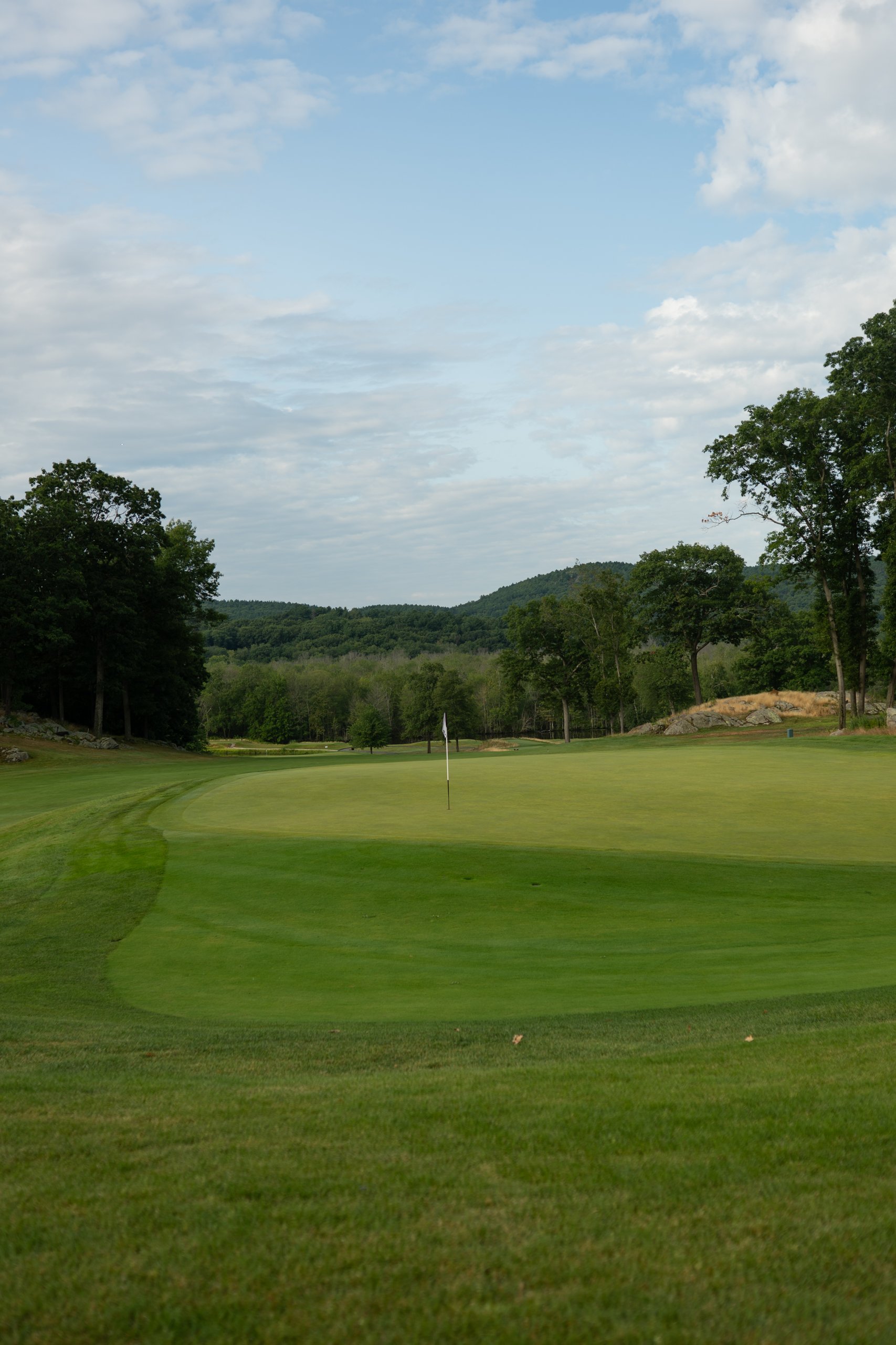 Scenic view of a golf green and flag with wooded hills and a cloudy sky behind.