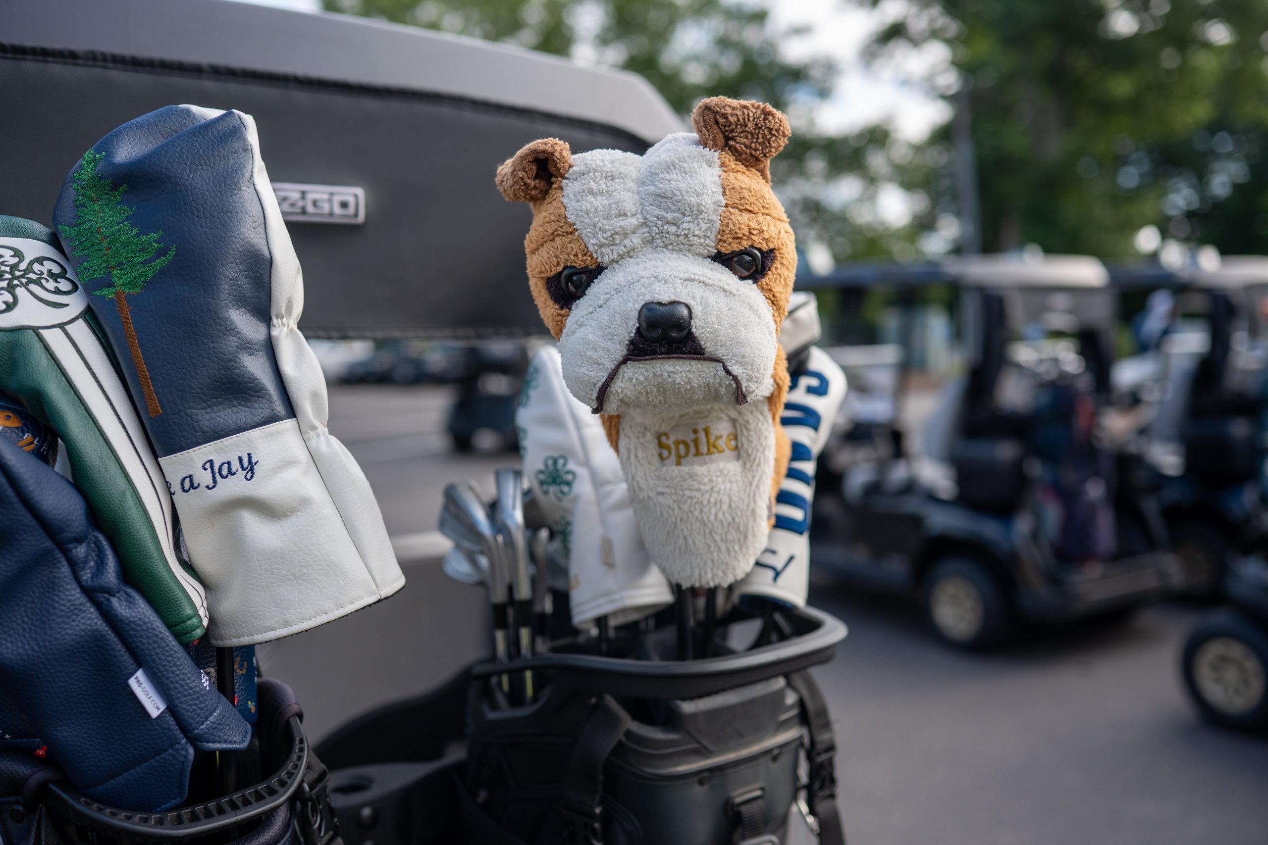 A plush bulldog driver headcover named Spike poking out of a golf bag among the staged carts, a pine-tree headcover beside it.