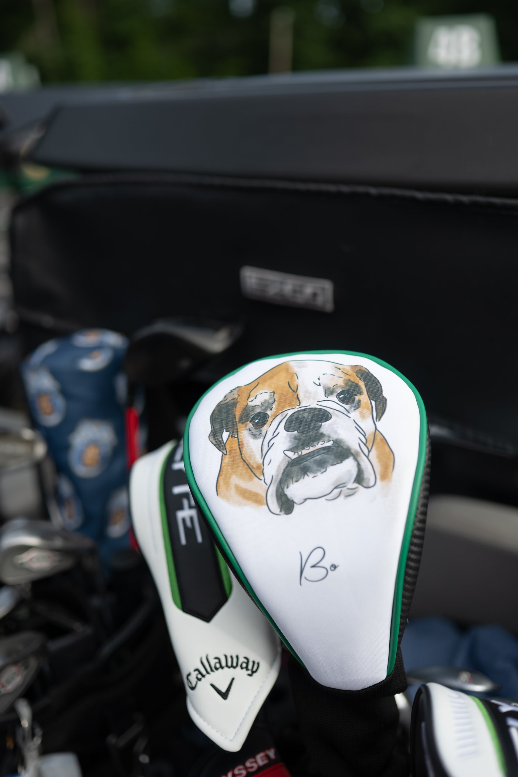 Close-up of a Callaway driver headcover hand-painted with a bulldog and signed Bo, tucked in a golf bag.