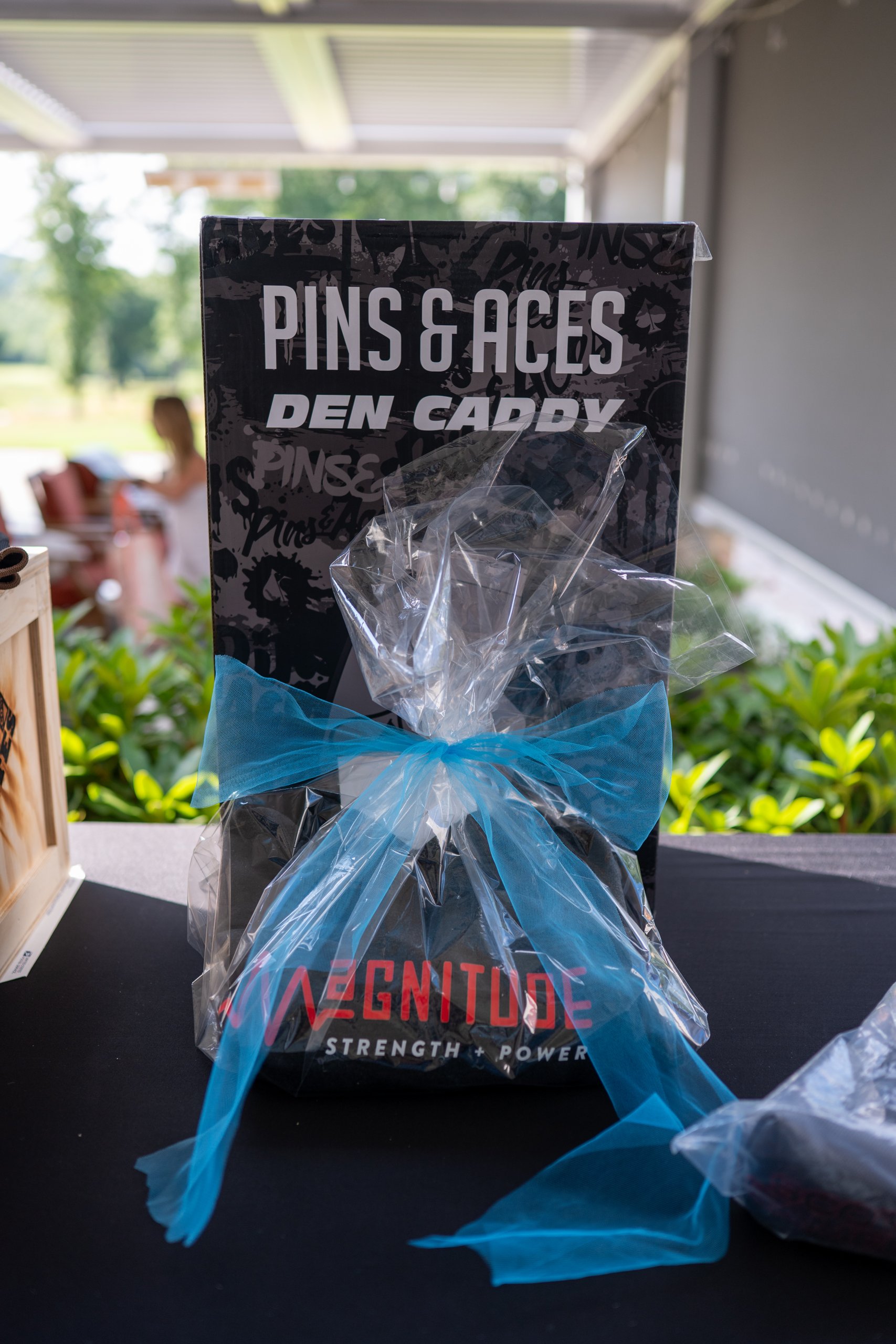 A Pins & Aces Den Caddy and a Magnitude Strength and Power prize wrapped together with a blue bow.