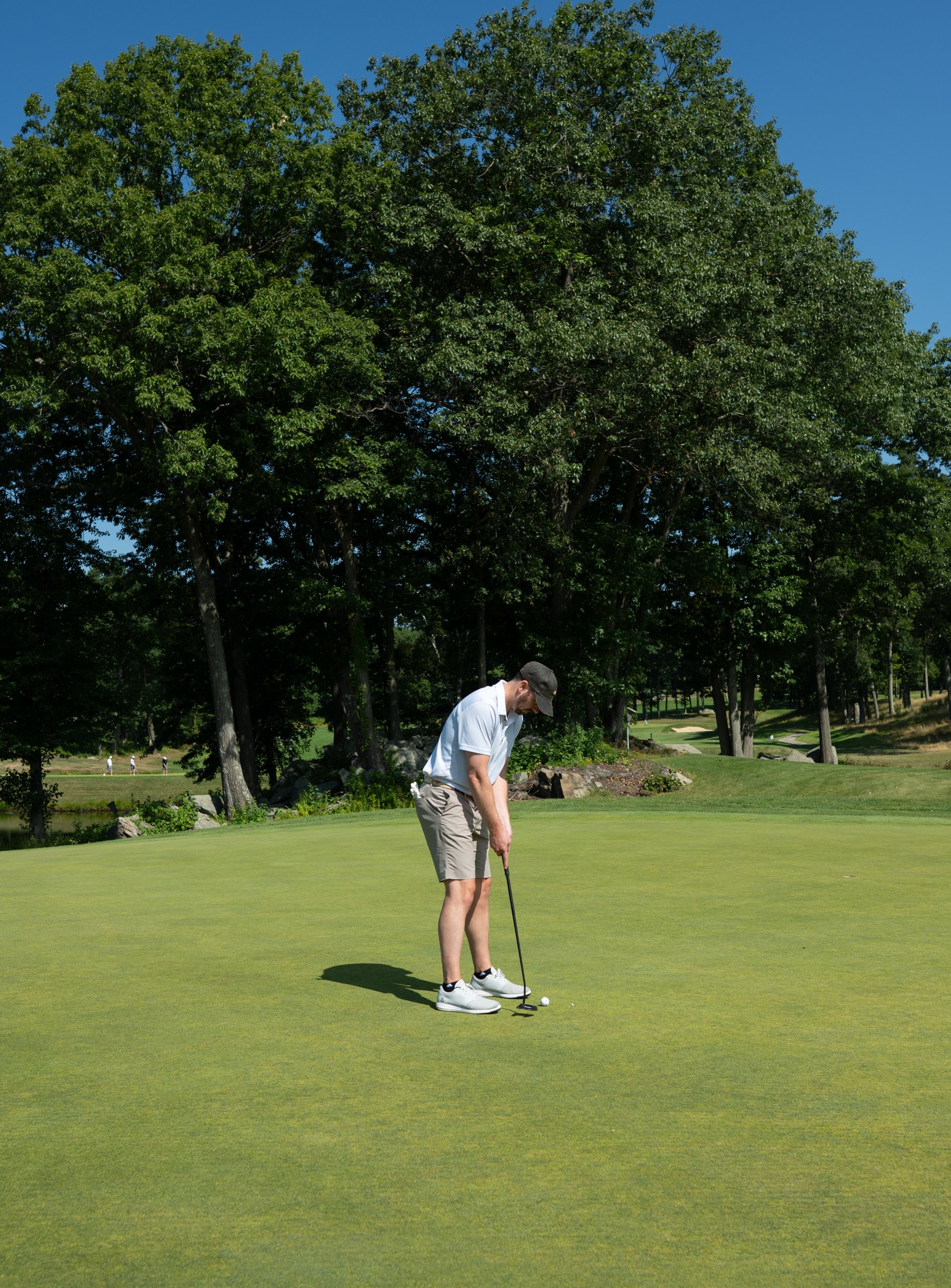 Golfer in a white polo and dark cap stroking a putt on the green beneath a large tree.