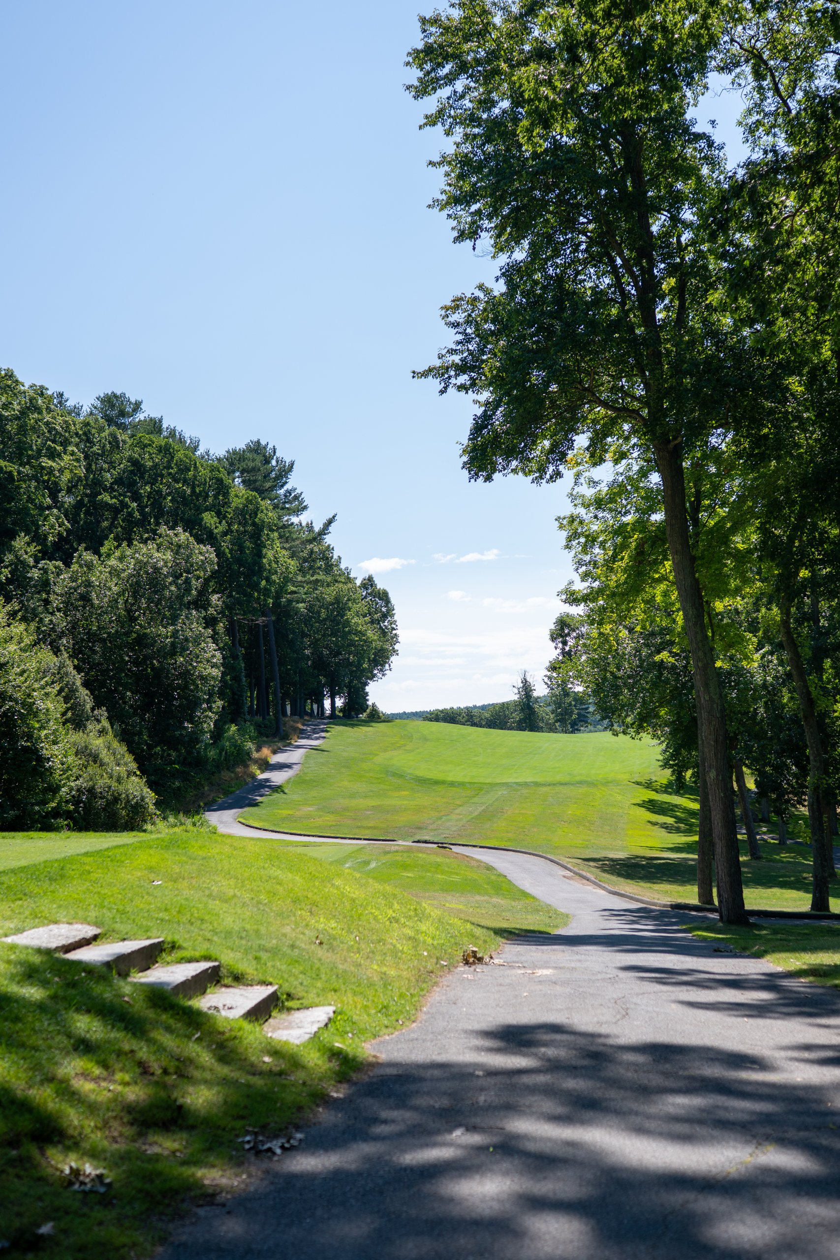 Scenic cart path winding uphill between the fairway and tall trees, stone steps set into the grassy bank on the left.