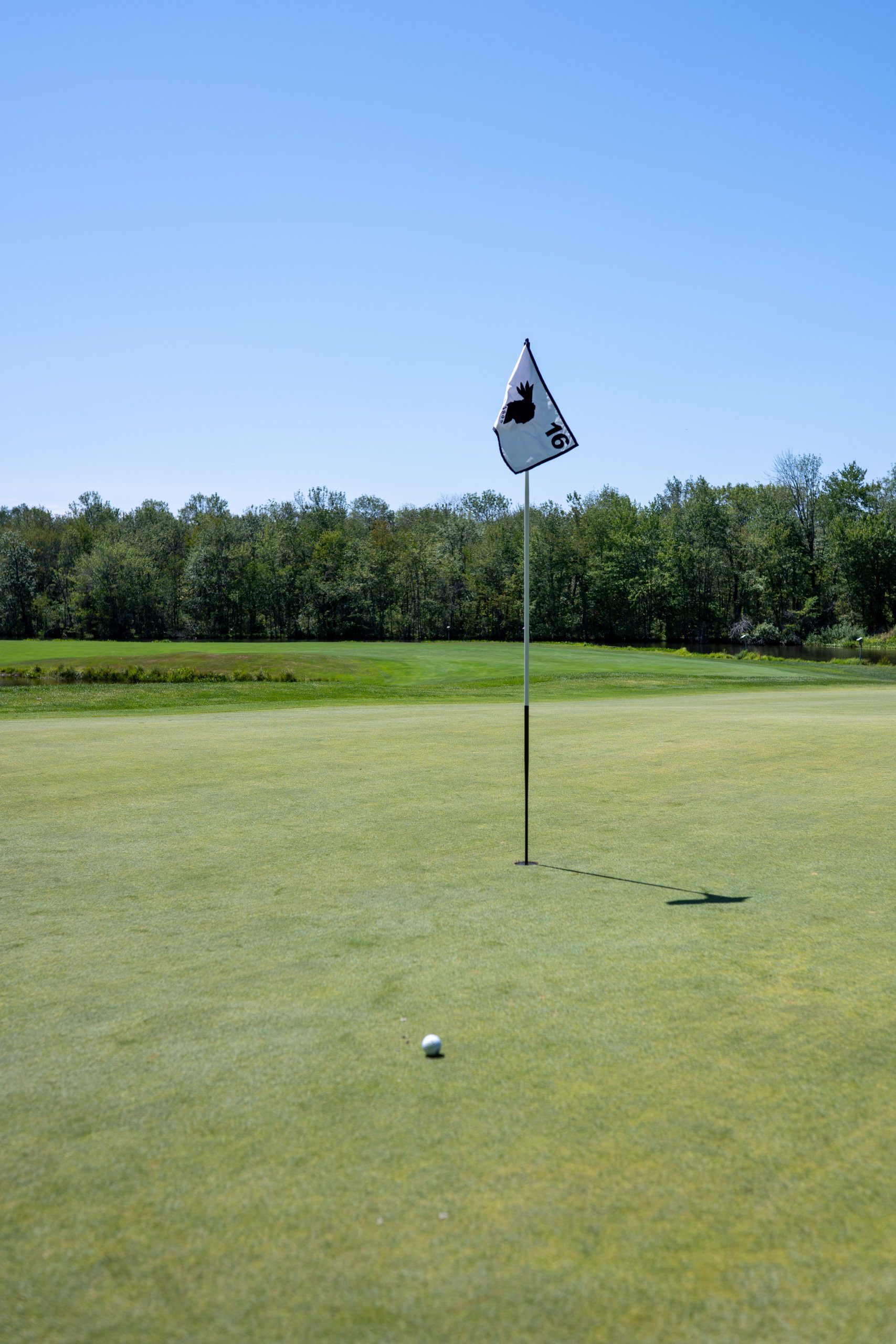 A golf green with the number 16 flag and a ball resting on the surface, a pond and treeline behind.
