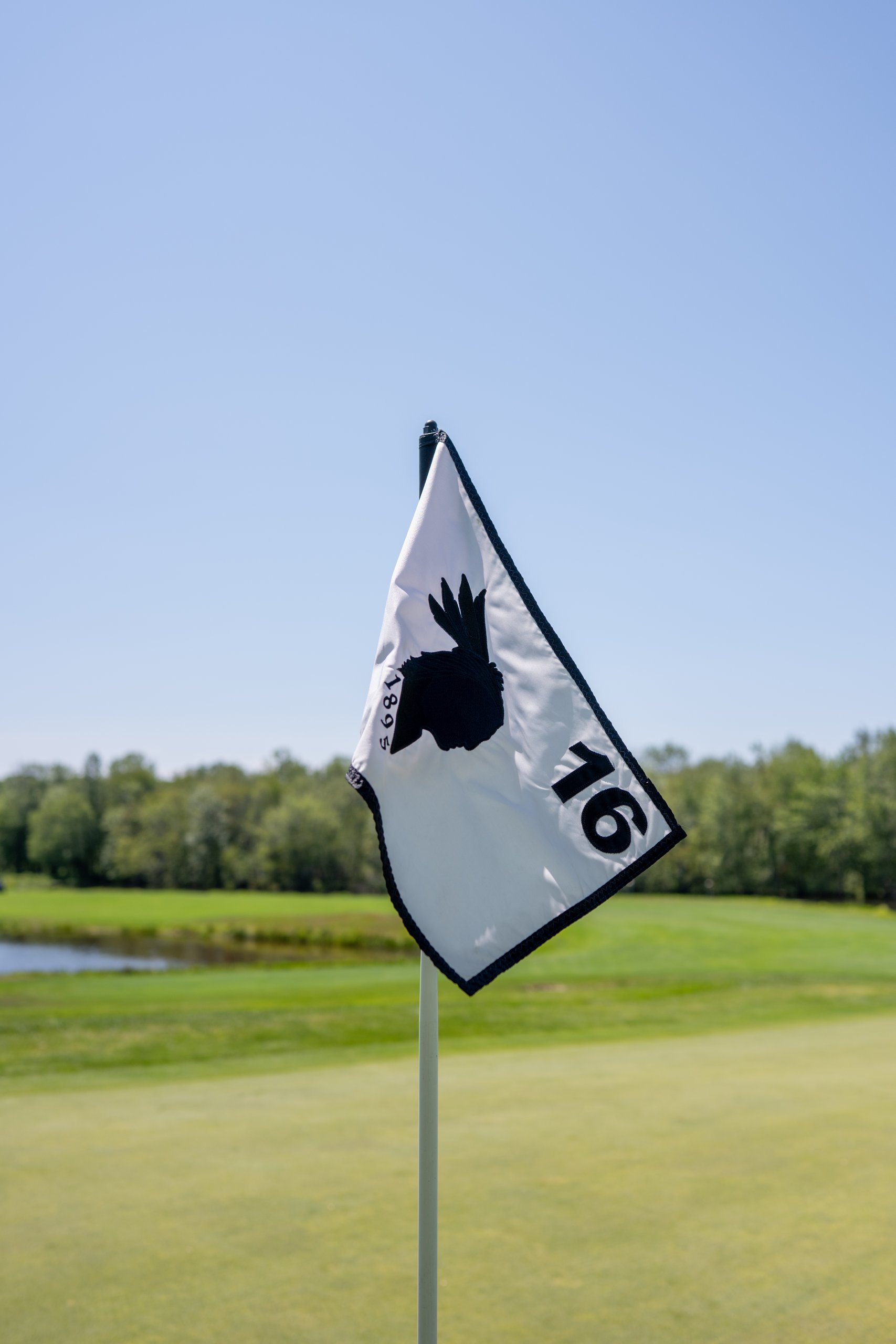 Close-up of the number 16 pin flag with the course's 1895 emblem against a clear blue sky.