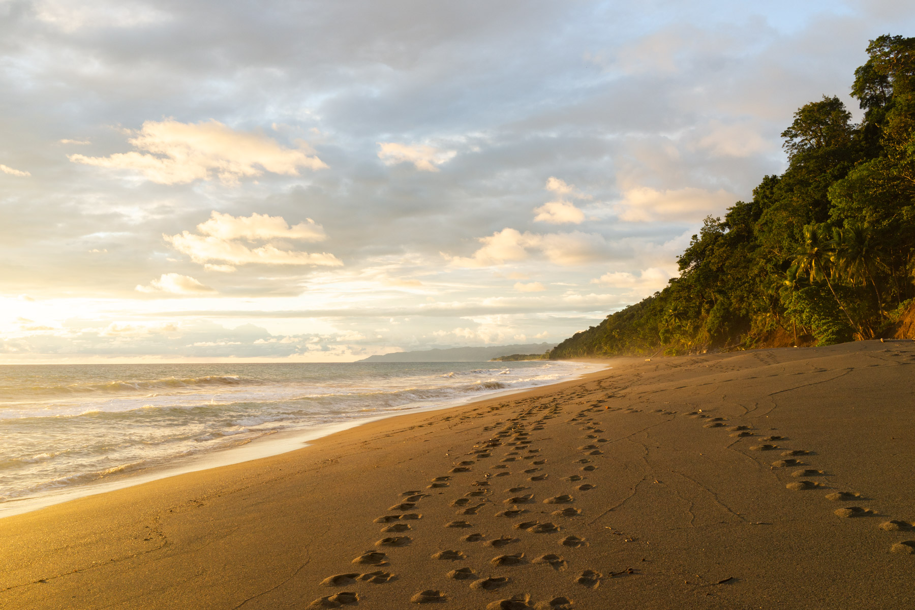 A beach to ourselves during golden hour.