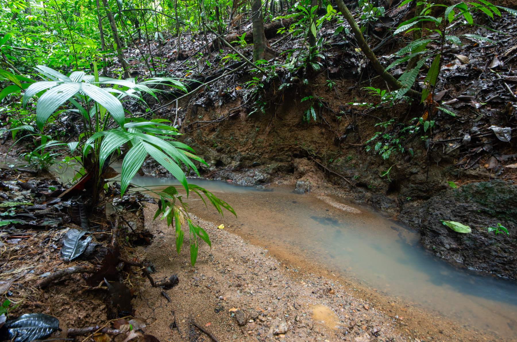 Rivers form shortly after it rains.