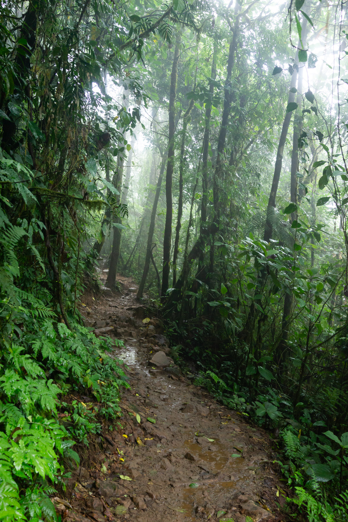 It suddenly started to pour and the trail got really muddy.