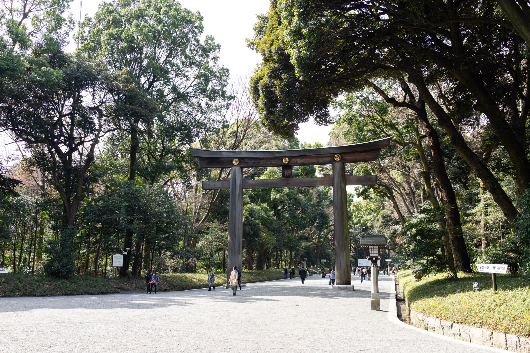 The main entrance to the Meiji shrine featuring a massive torii gate. Amidst the hustle and the bustle of Tokyo, this area is surprisingly peaceful.