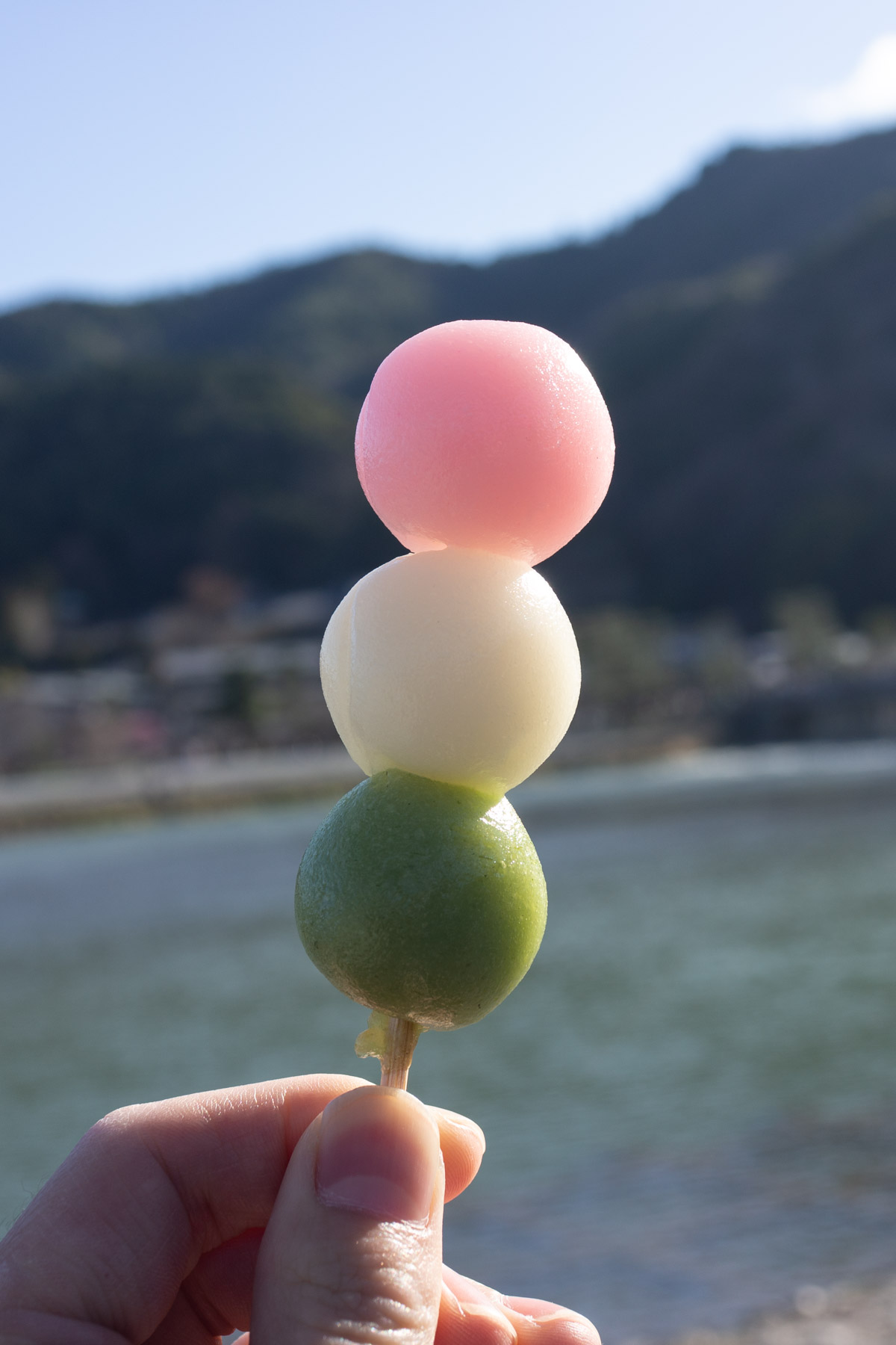 We got some dango to take down to eat in front of the river.