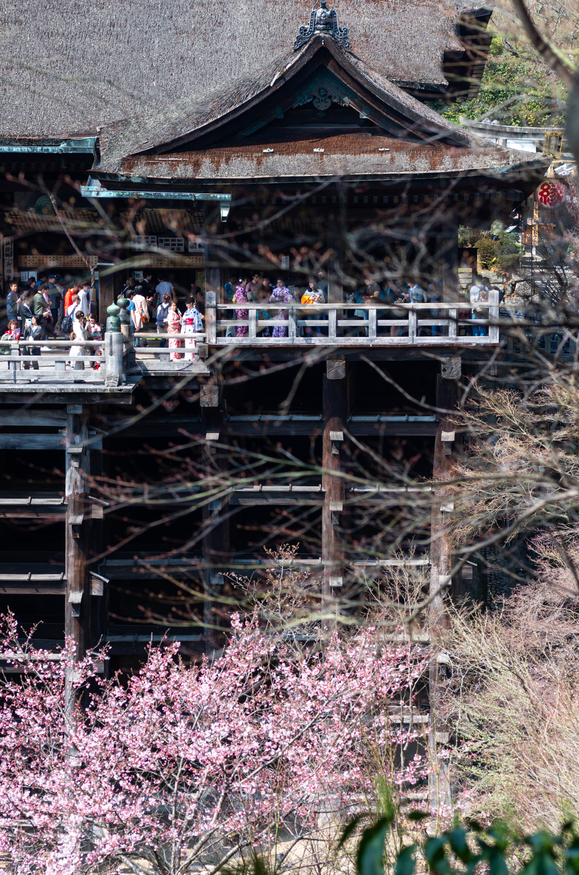 Wooden temple and cherry blossoms, we were relatively lucky with the timing.