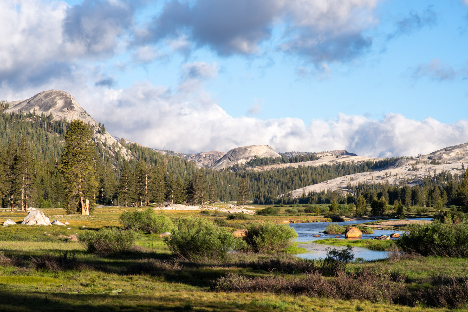 Morning at Tuolumne Meadows. The upper section of Yosemite has its charms as well.