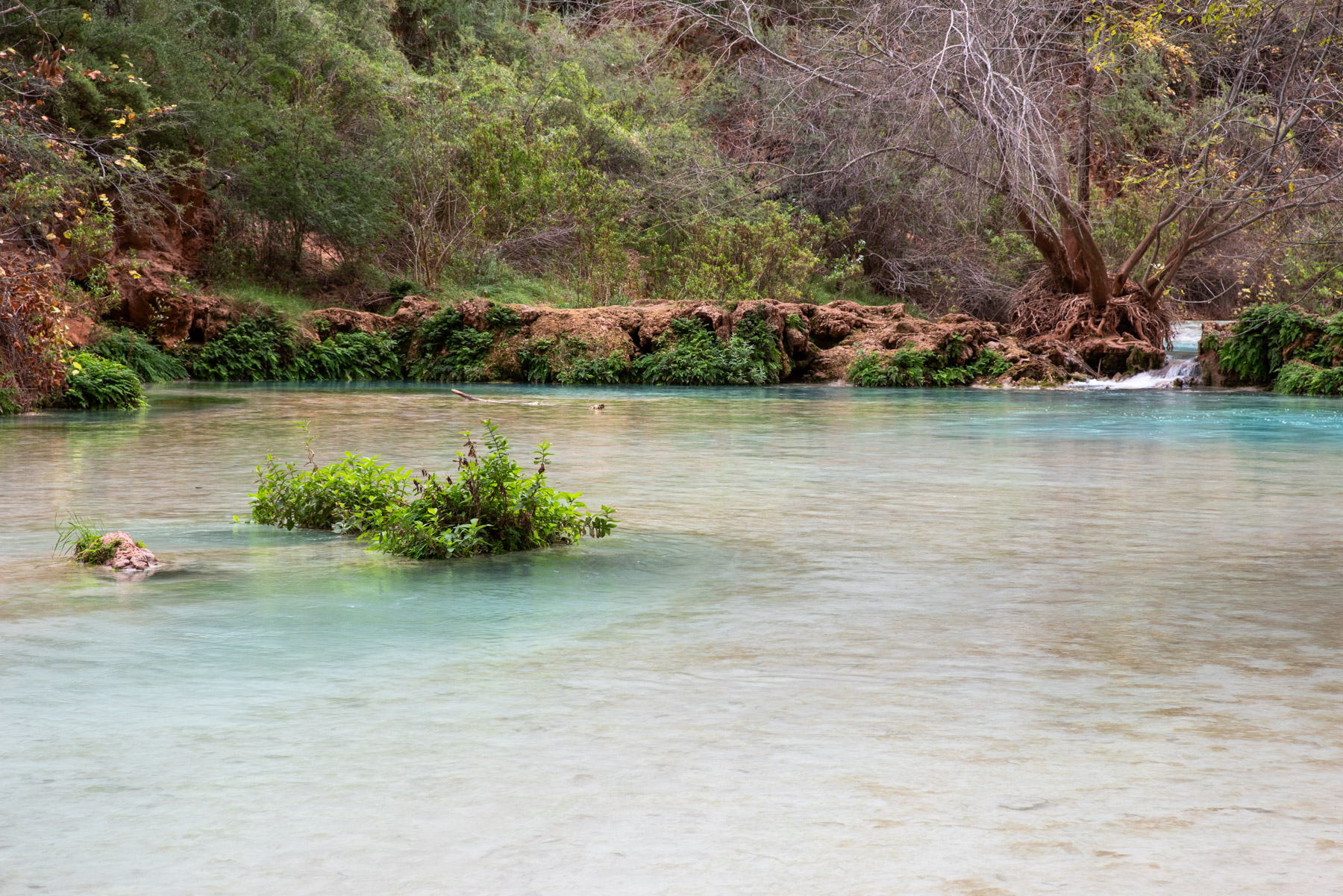 This type of scenery is not what you'd normally expect to see in a desert.