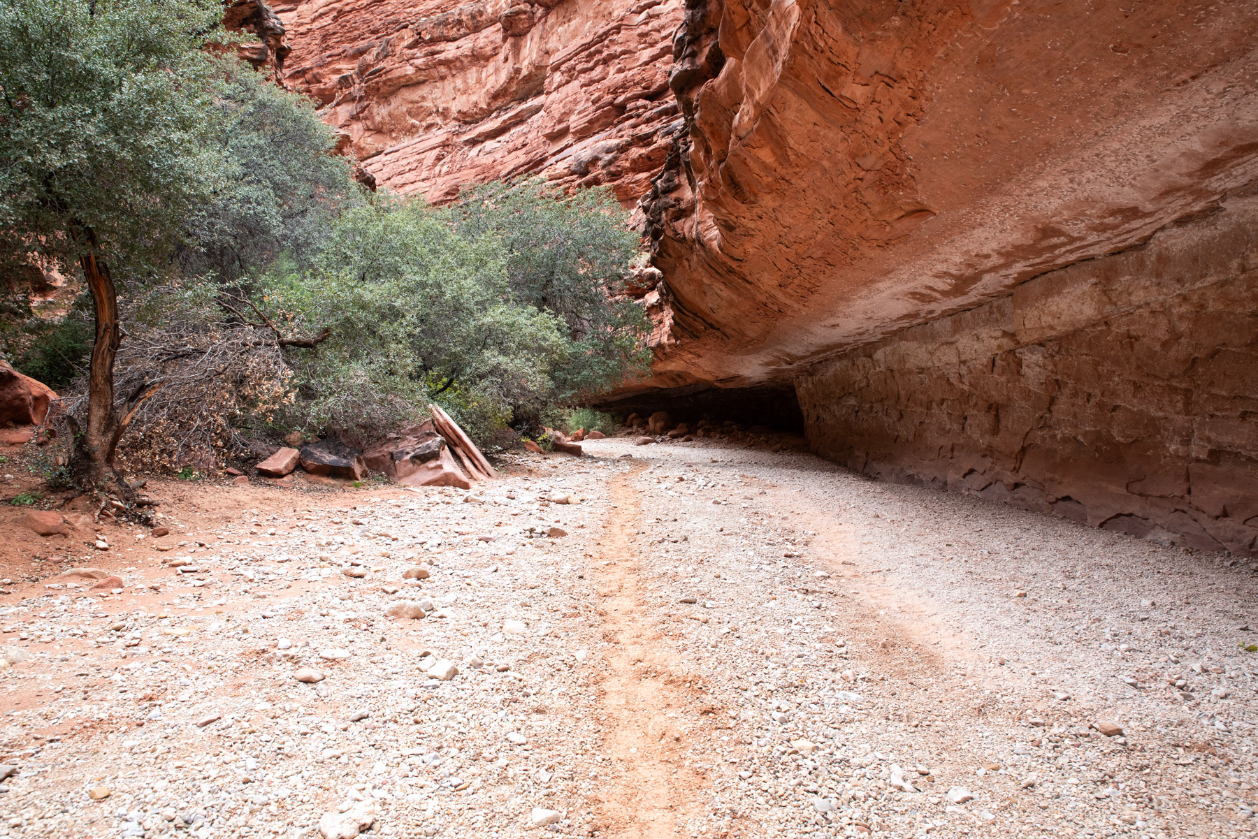 Waiting for a subway to arrive. Use your imagination a bit and the walls will come alive.
