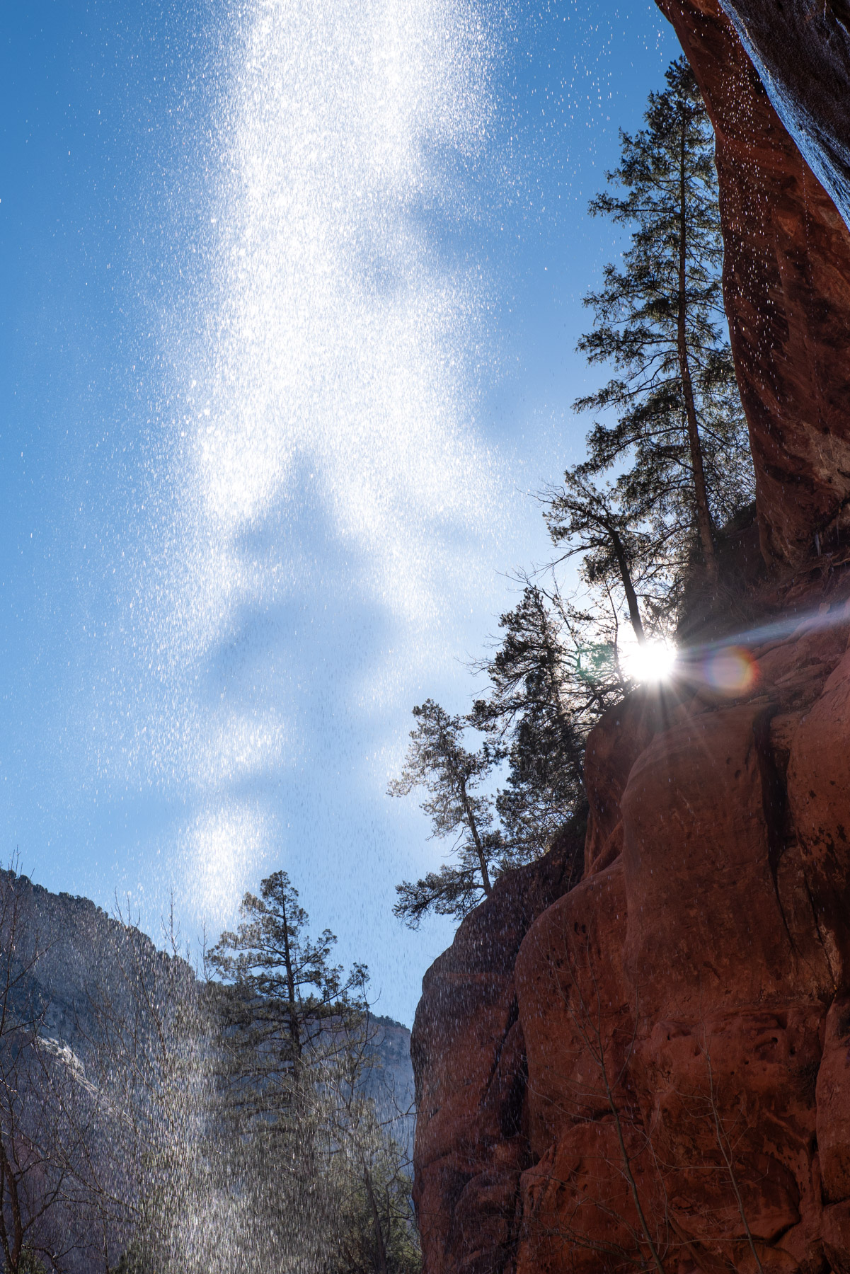 The tree casting a shadow on the water.