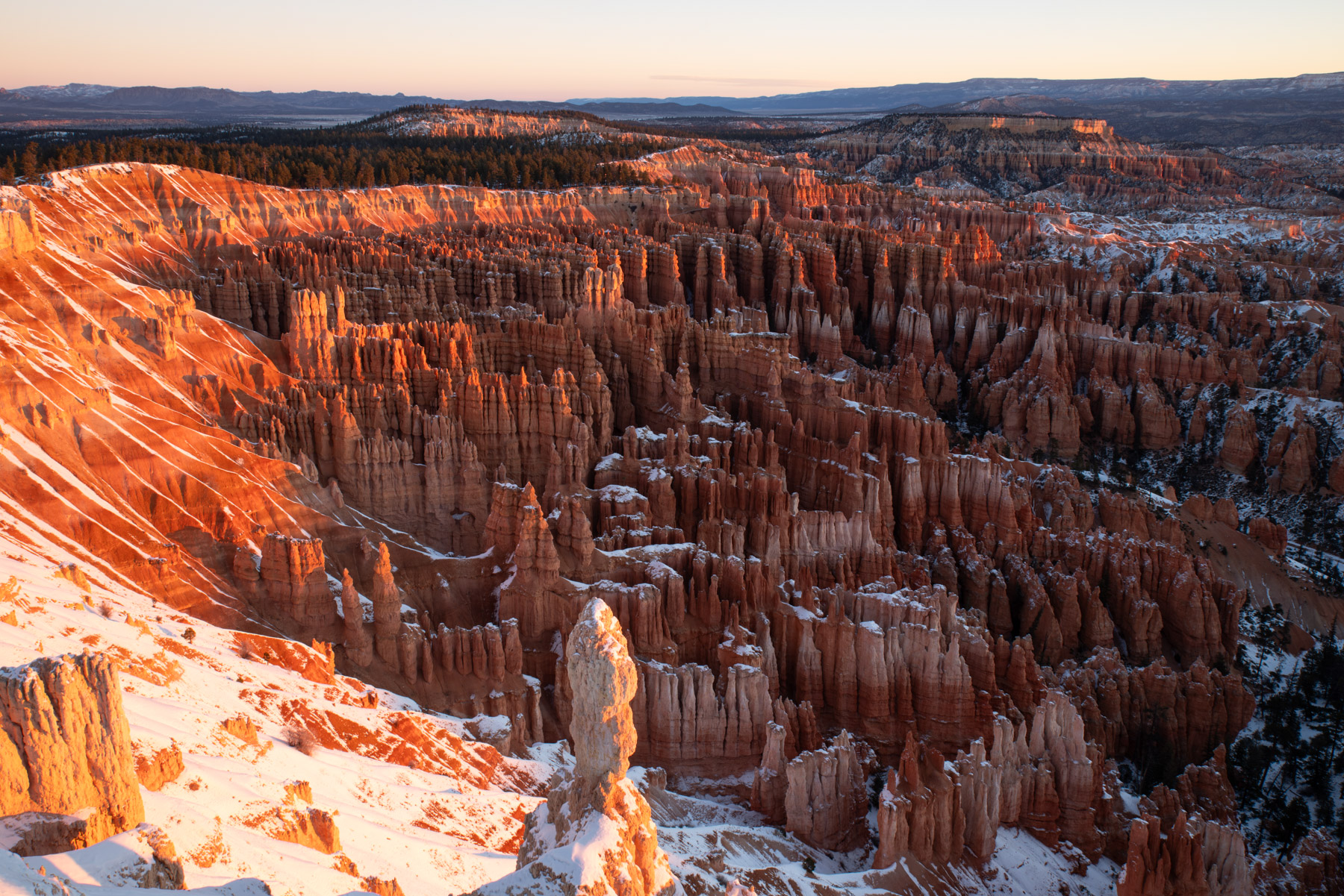 The congregation of hoodoos.