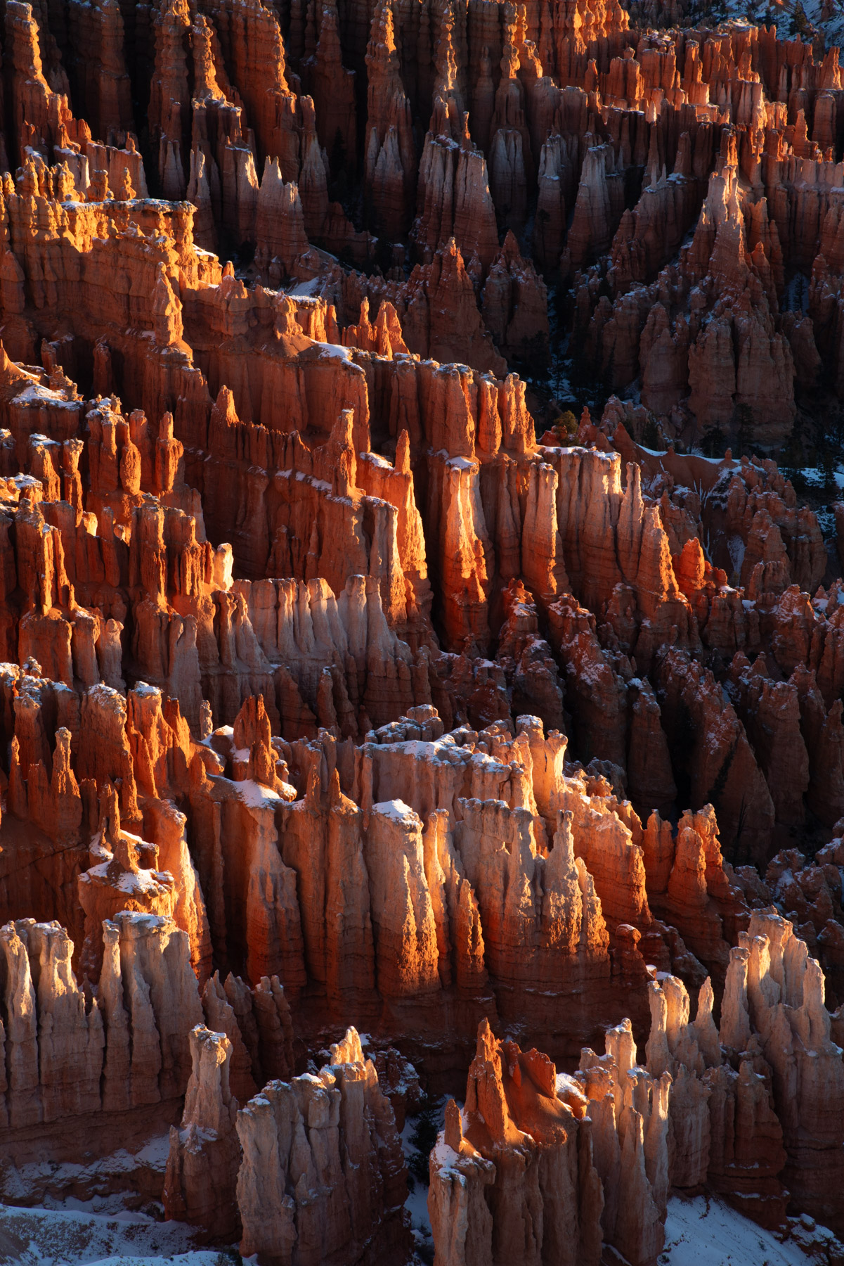 Hoodoos catching light.