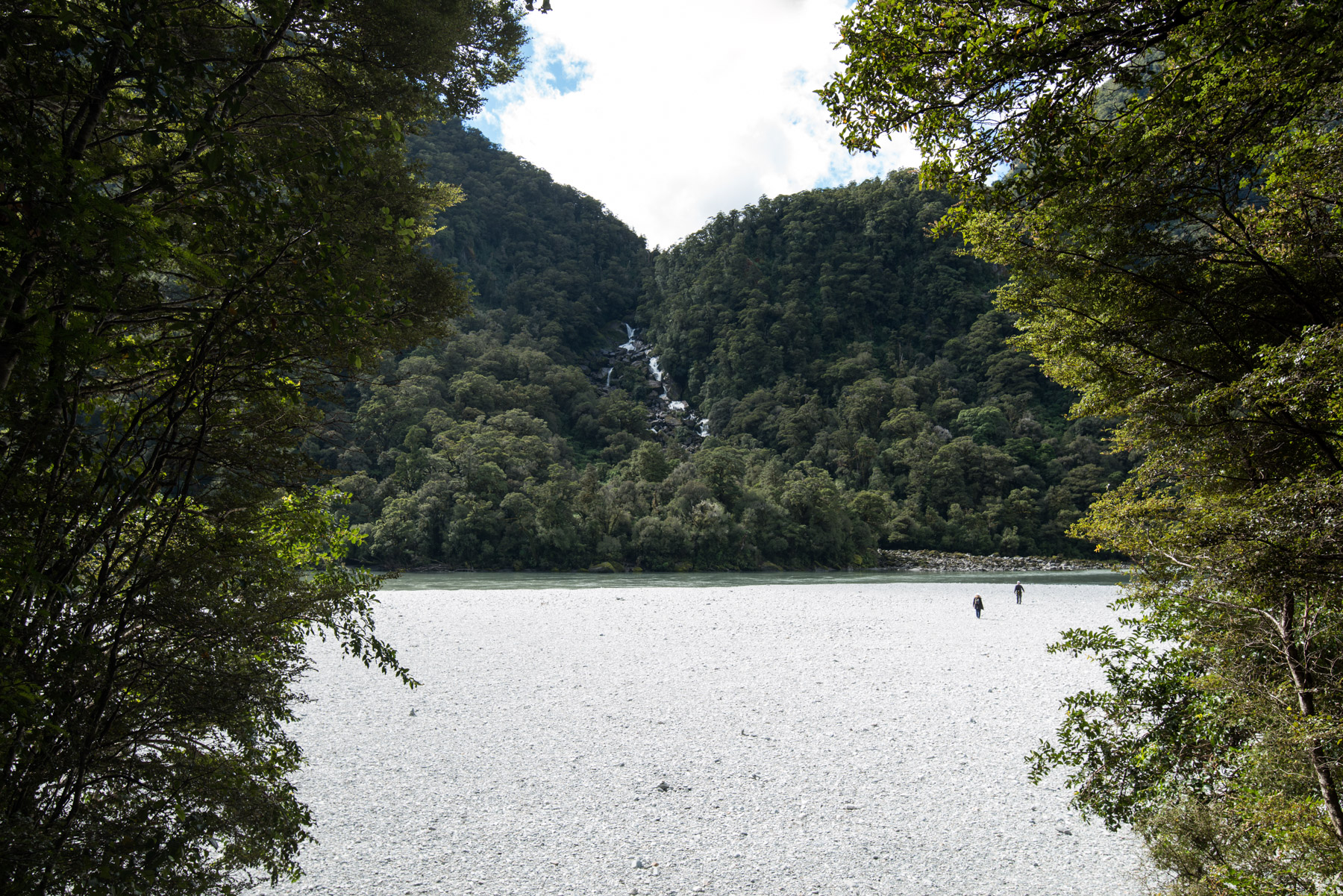 A river clearing. Wonder how much the water fills up here when it rains.