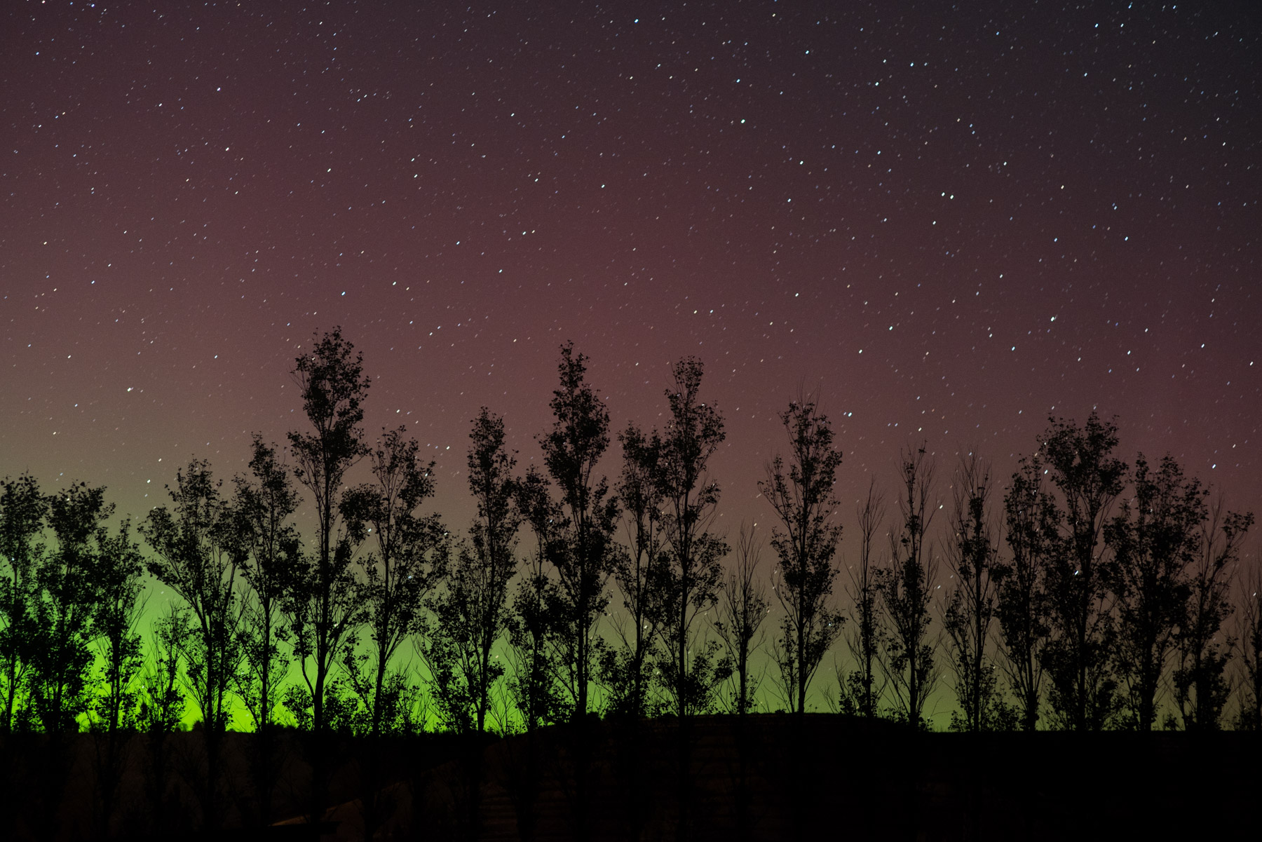 Within the Aoraki Mackenzie Dark Sky Reserve, we were able to capture the aurora australis, the less famous sibling of the northern lights. This is a long exposure.