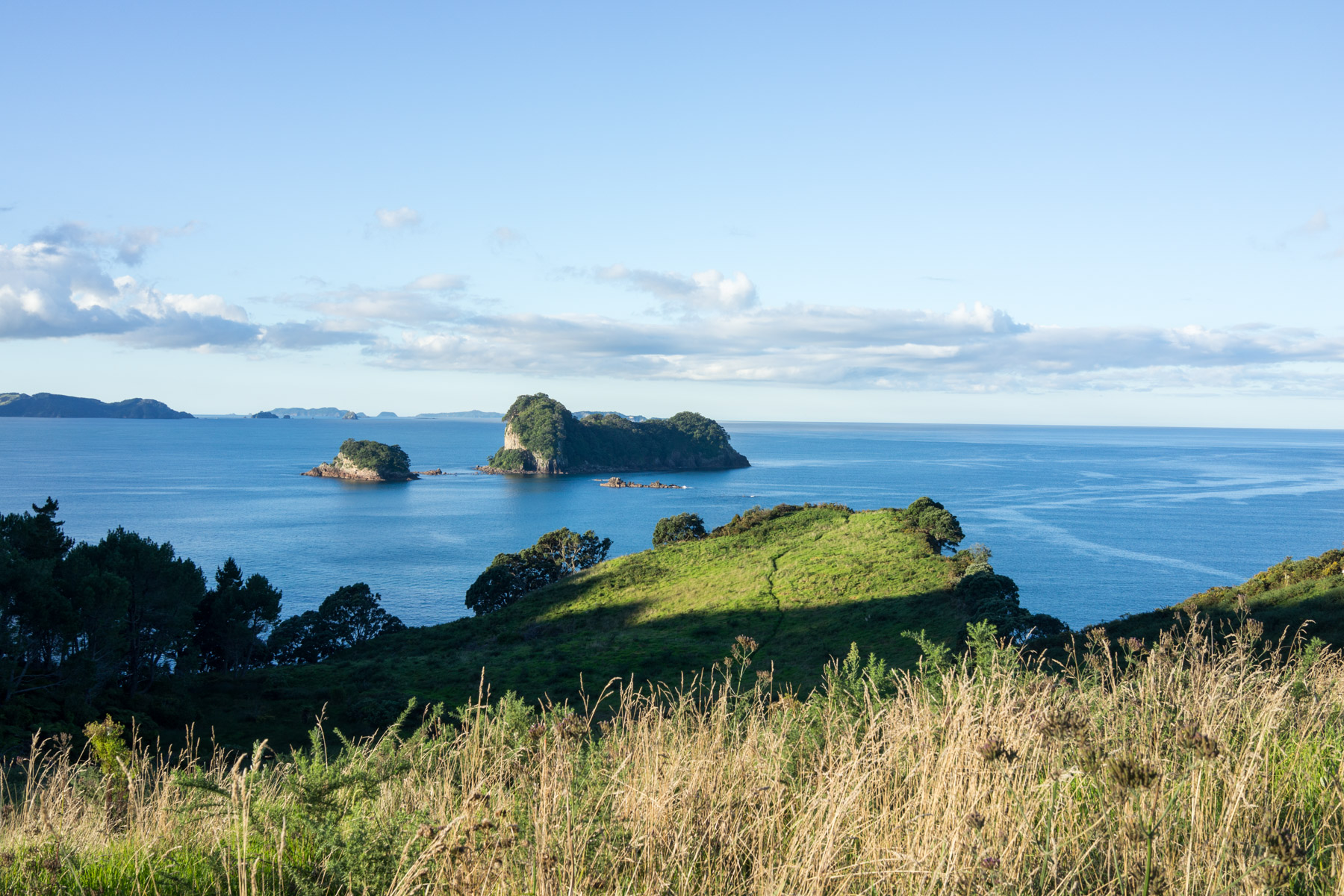 Tree-covered islands in the distance.