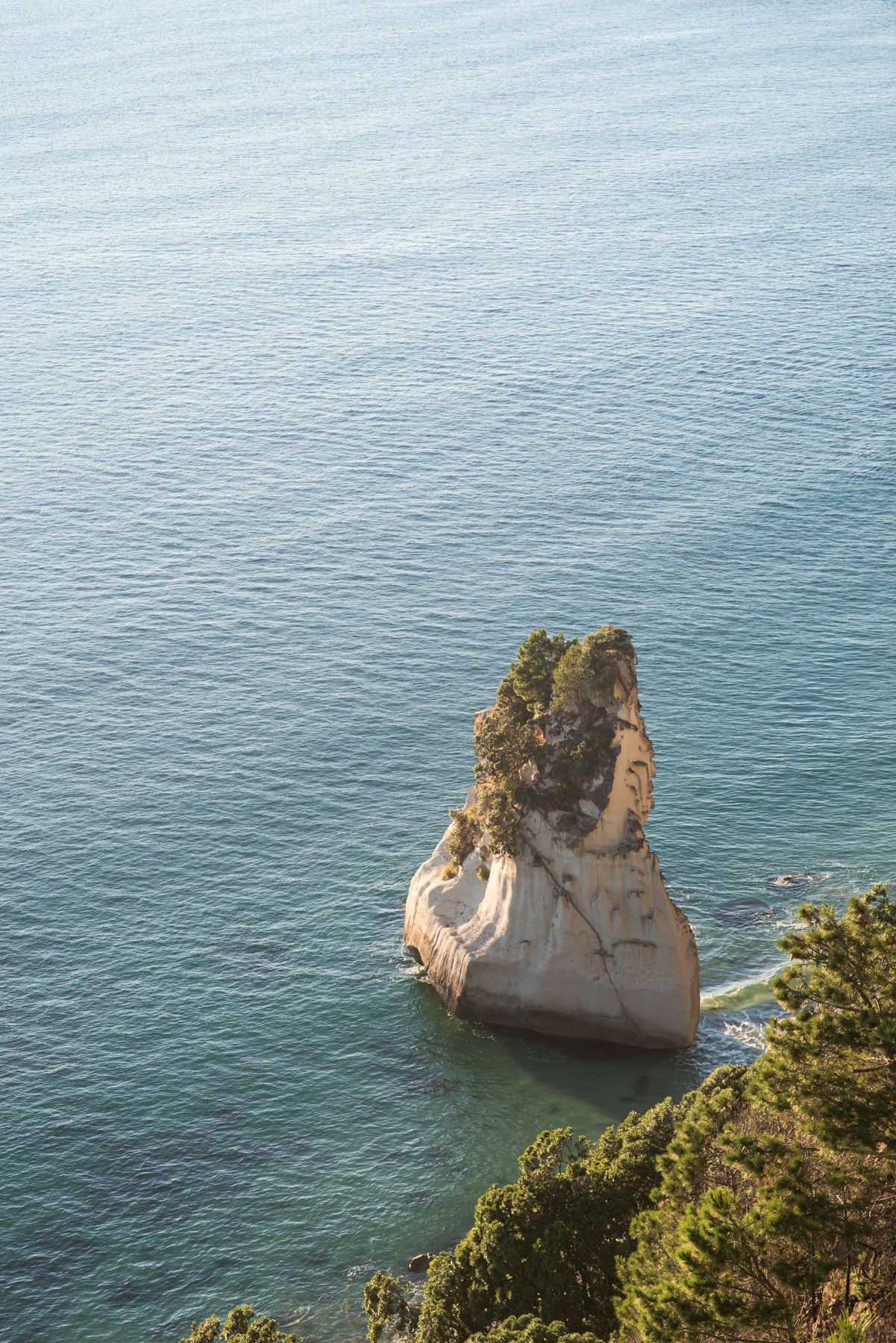 Te Hoho Rock stack from above.