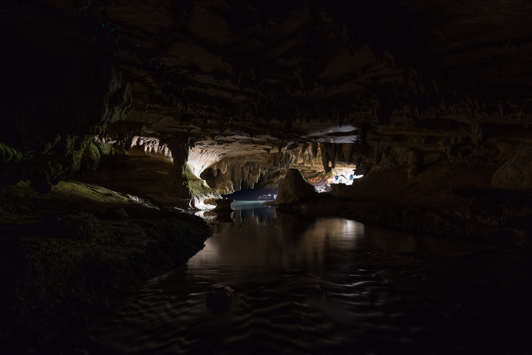 Entrance to the Waipu Caves. We could only take the darkness for so long.