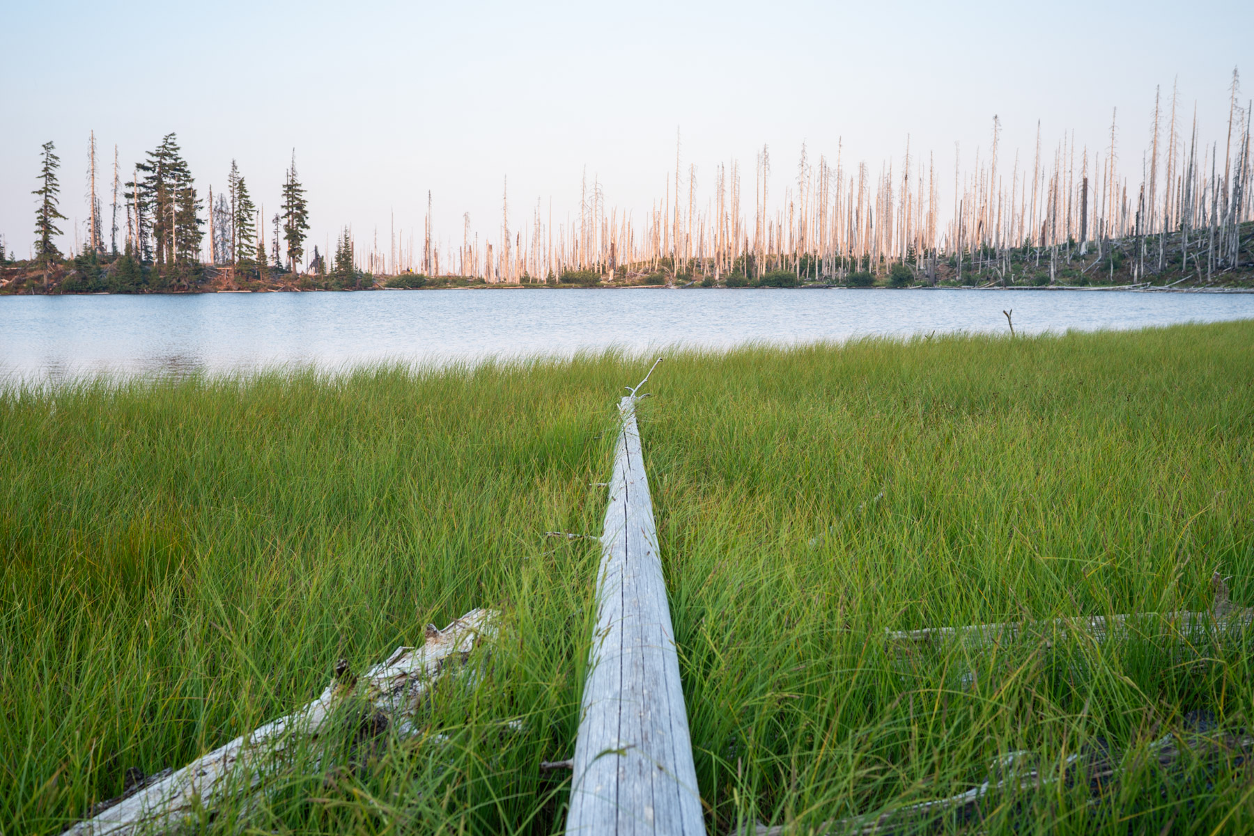 We had this lake all to ourselves, minus all the frogs.
