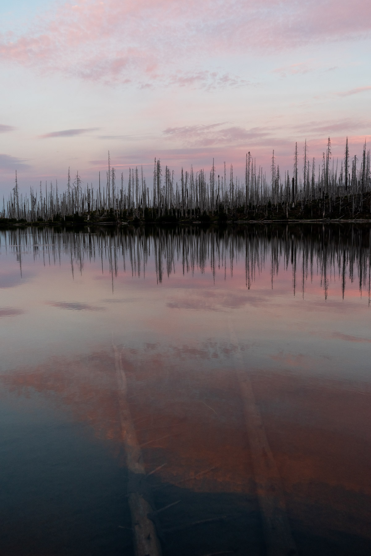 Kind of reminds of a seismogram.