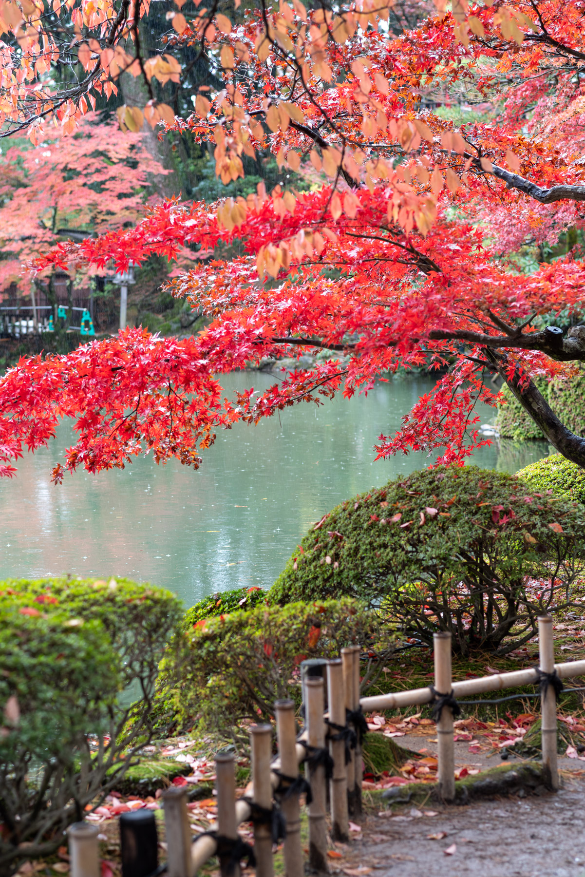 The red leaves provided a nice pop of contrast amidst the greens.