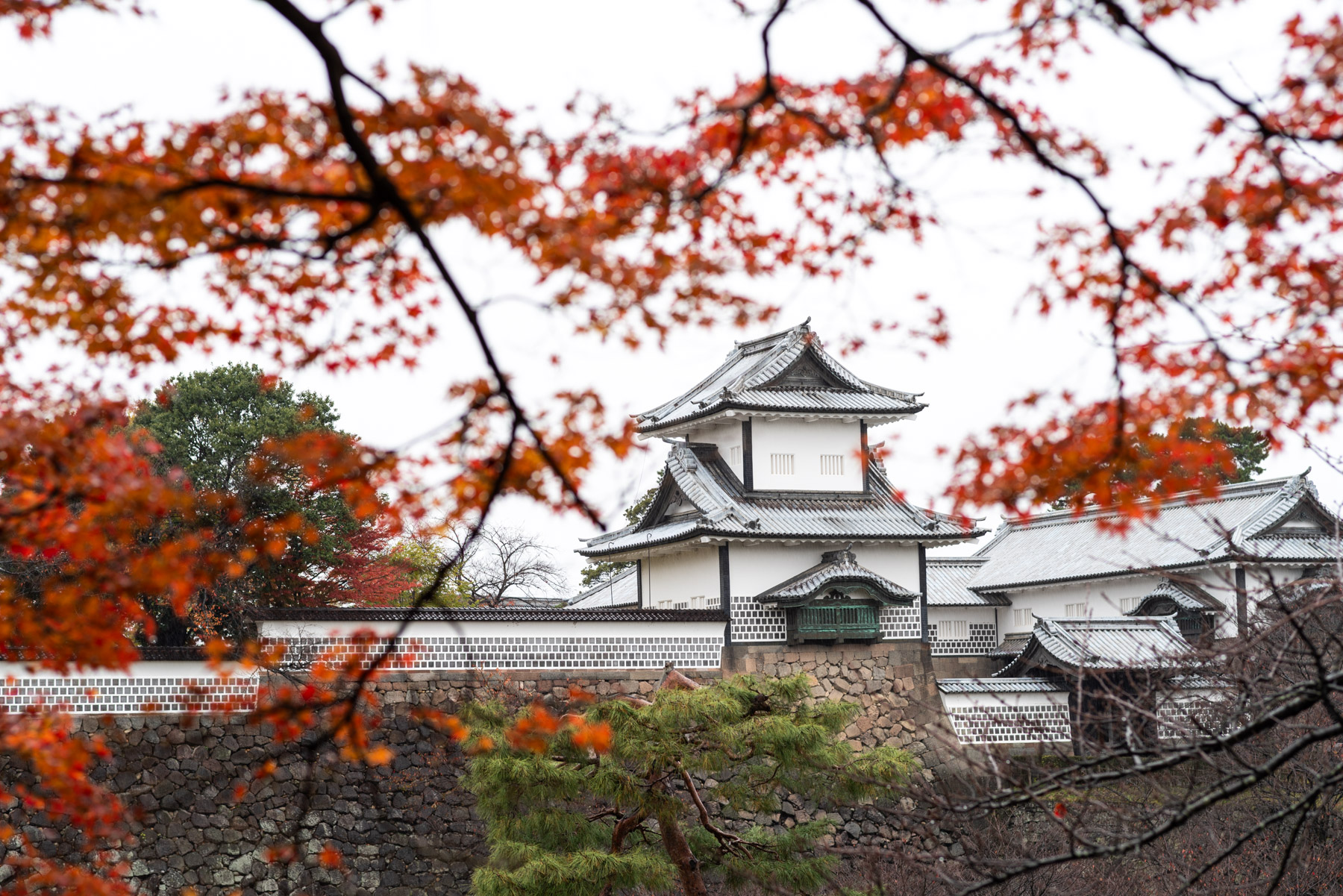 Kanazawa Castle through the leaves.