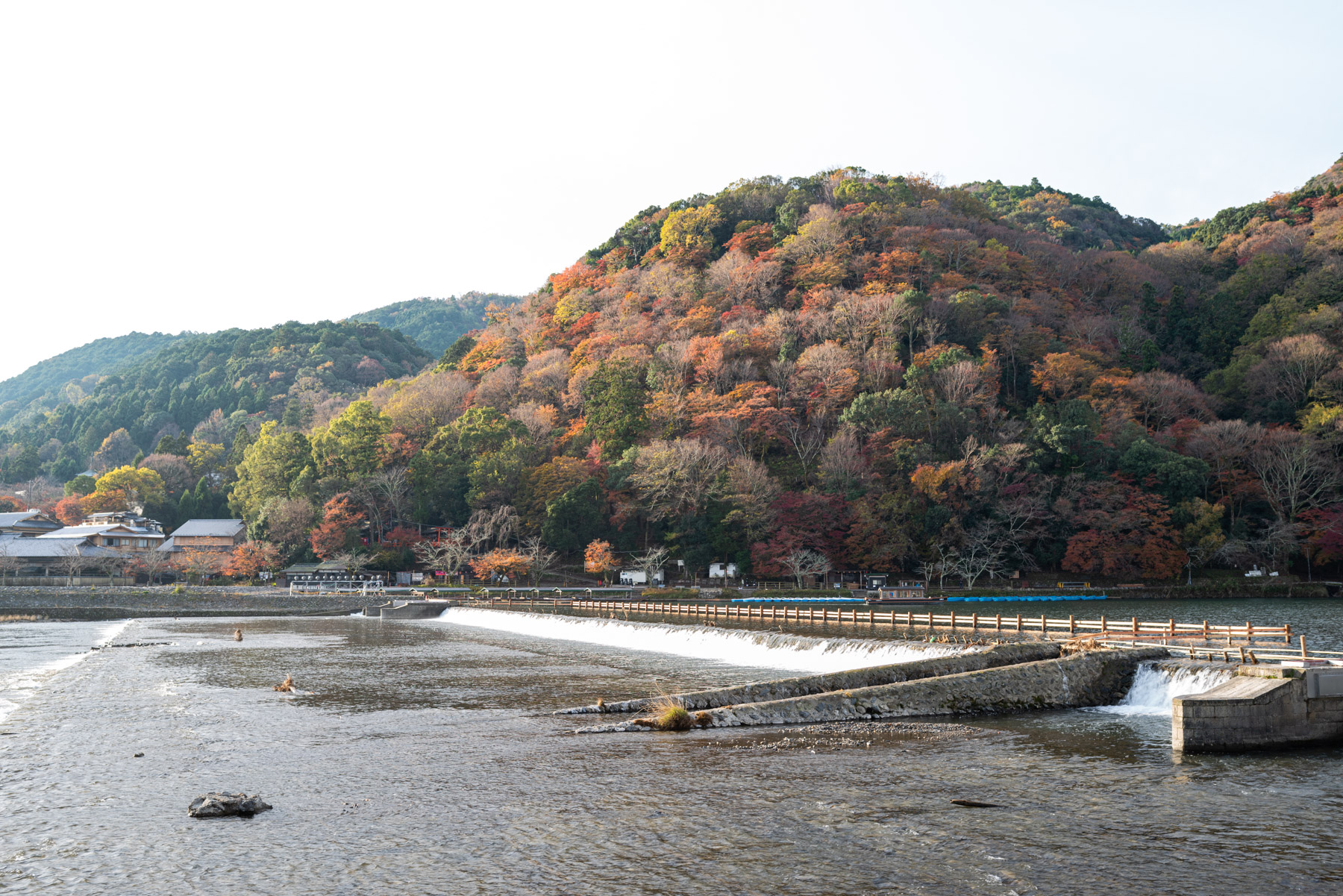 This is my first time in Arashiyama during autumn. The foliage was stunning.