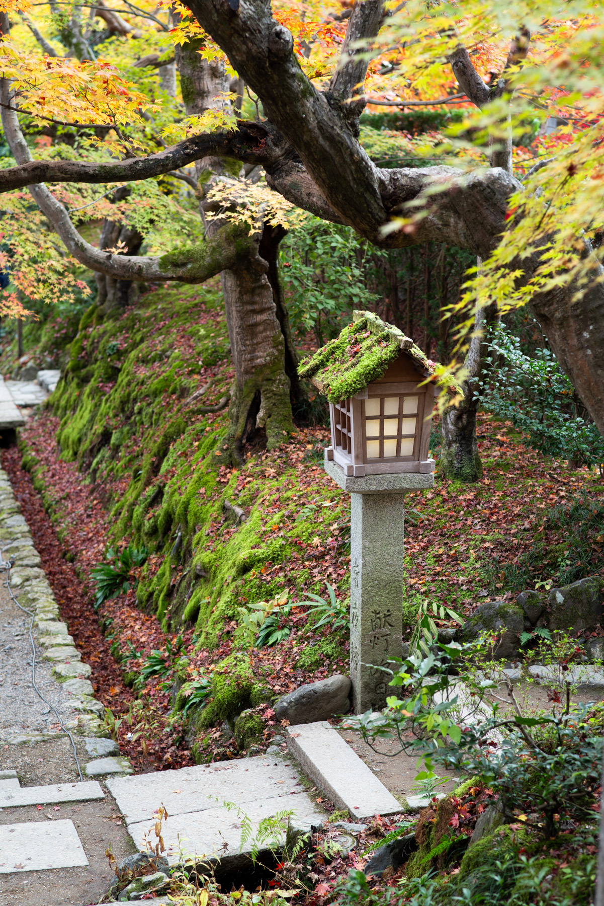A traditional-style lantern. 