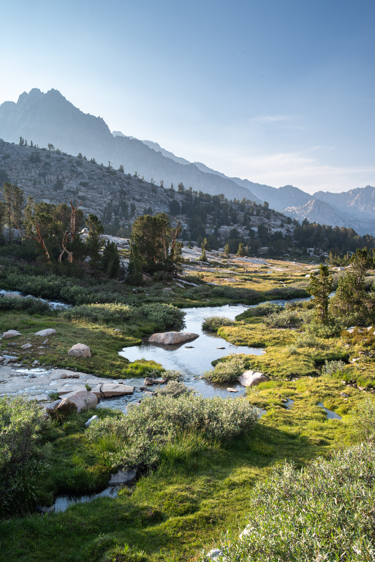 High elevation meadows are the best. We had the place all to ourselves.
