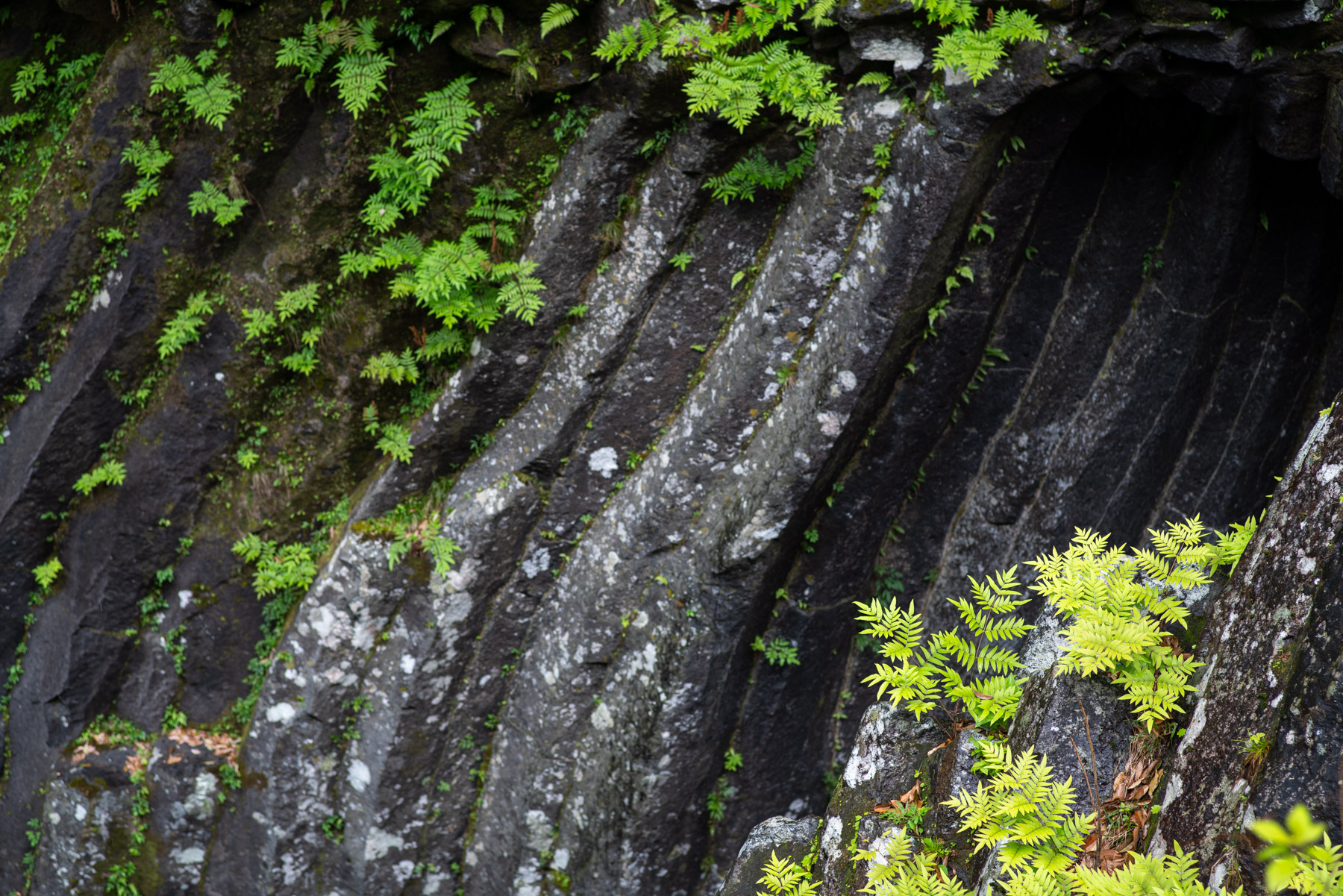Basalt formations, kind of reminds of a whale's mouth.
