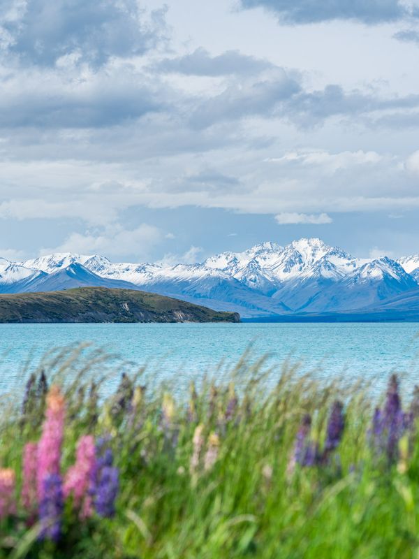 Lake Tekapo