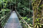 At Bosque del Cabo, this suspension bridge separated the main grounds from our cabins, it made our journey back-and-forth quite exciting.
