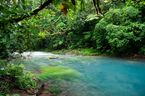 Turquoise waters flowing through a lush rainforest, what a unique combo