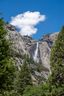 View of Yosemite Falls from the valley.