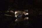 Entrance to the Waipu Caves. We could only take the darkness for so long.