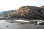 This is my first time in Arashiyama during autumn. The foliage was stunning.