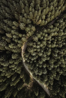 aerial-drone-shot-by-tanner-thibert.webp