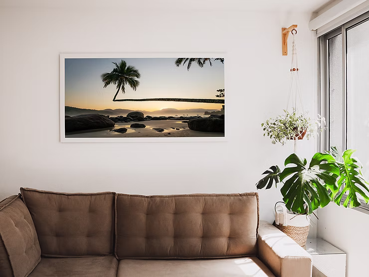 crooked-palm-tree-over-sand-hanging-on-wall.jpg