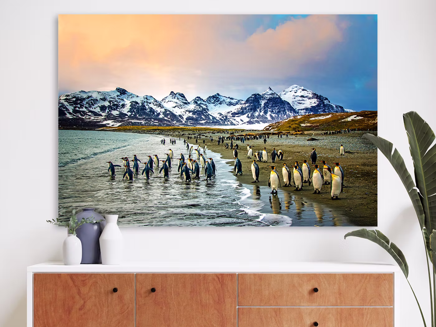 metalprint-of-penguins-on-beach.jpg
