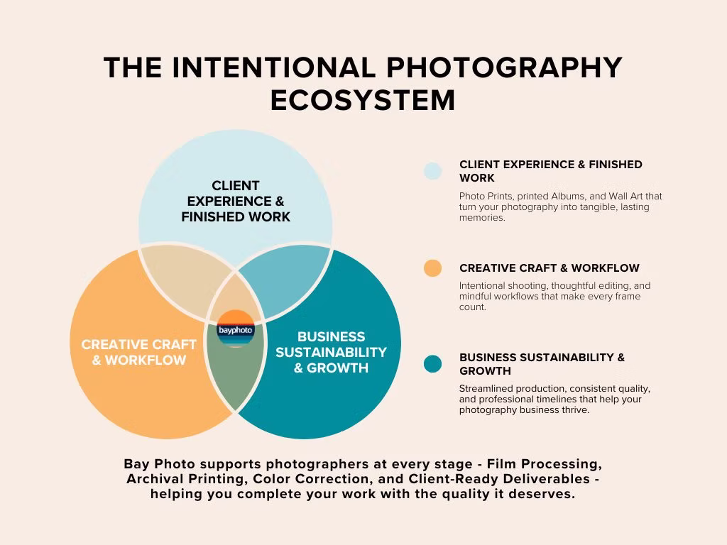 venn-diagram-of-photographing-process.jpg