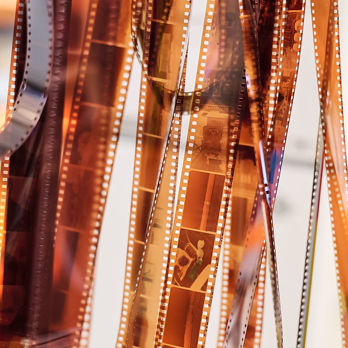 film-strip-negatives.jpg