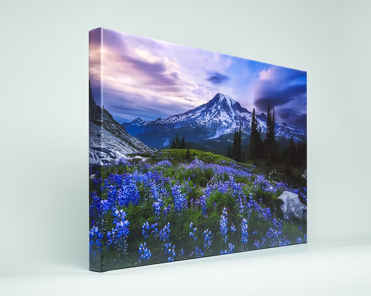 canvas-wrap-of-lupins-in-mountains.jpg