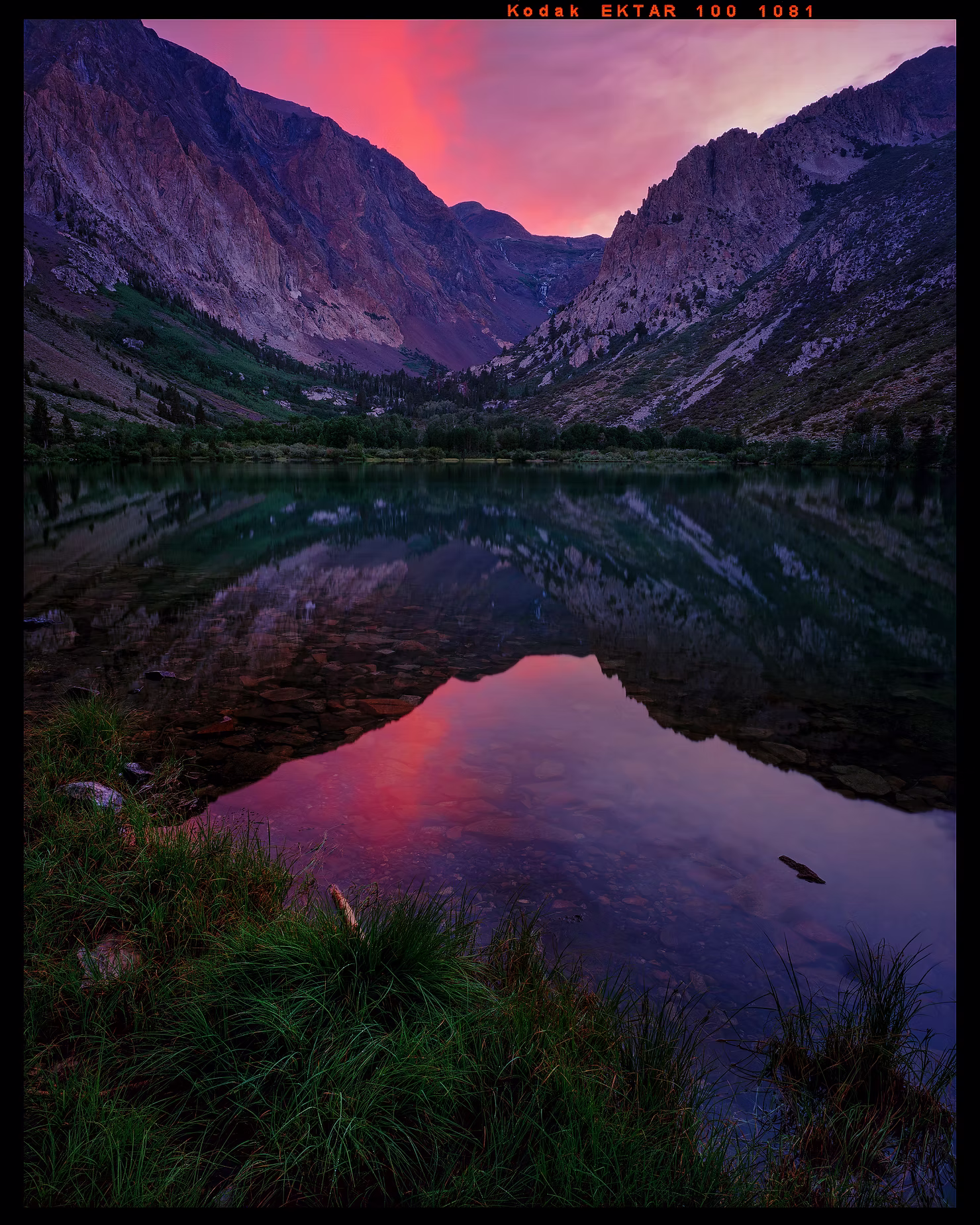 purple-reflections.jpg