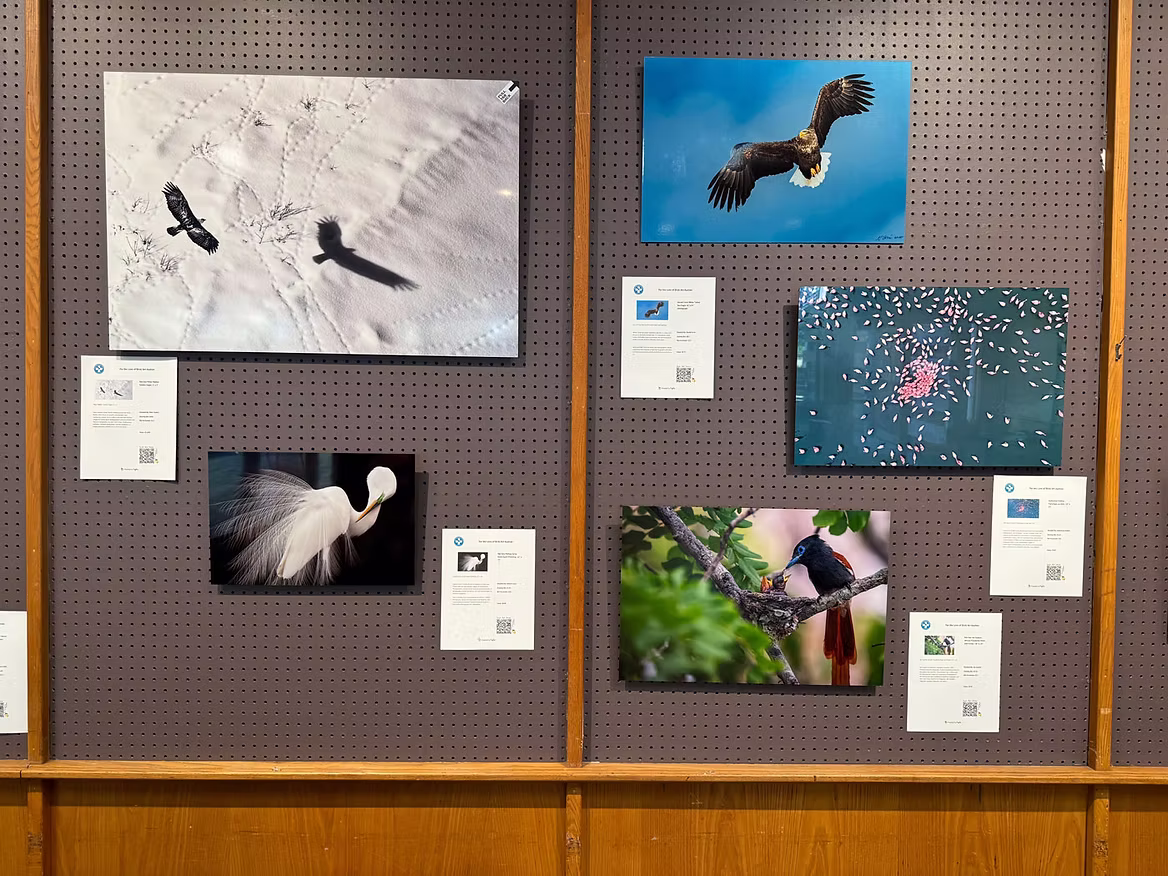 epic-prints-wall.jpg